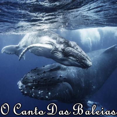 Whale Sonds, Blue Whale, Humpback Whale, Deep Ocean For Sleep's cover