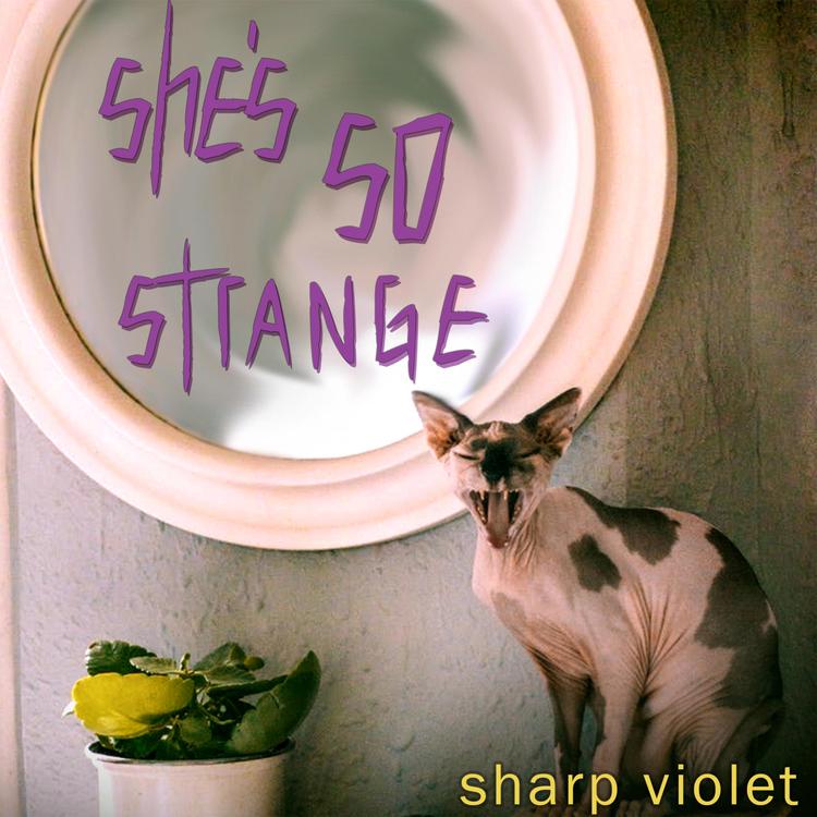 Sharp Violet's avatar image