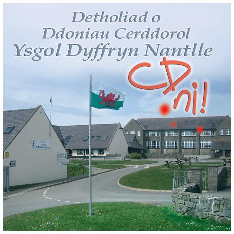 Ysgol Dyffryn Nantlle's avatar image