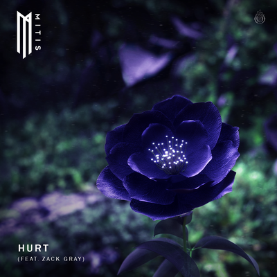 Hurt (feat. Zack Gray) By MitiS, Zack Gray's cover