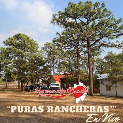 "Puras Rancheras" En Vivo's cover