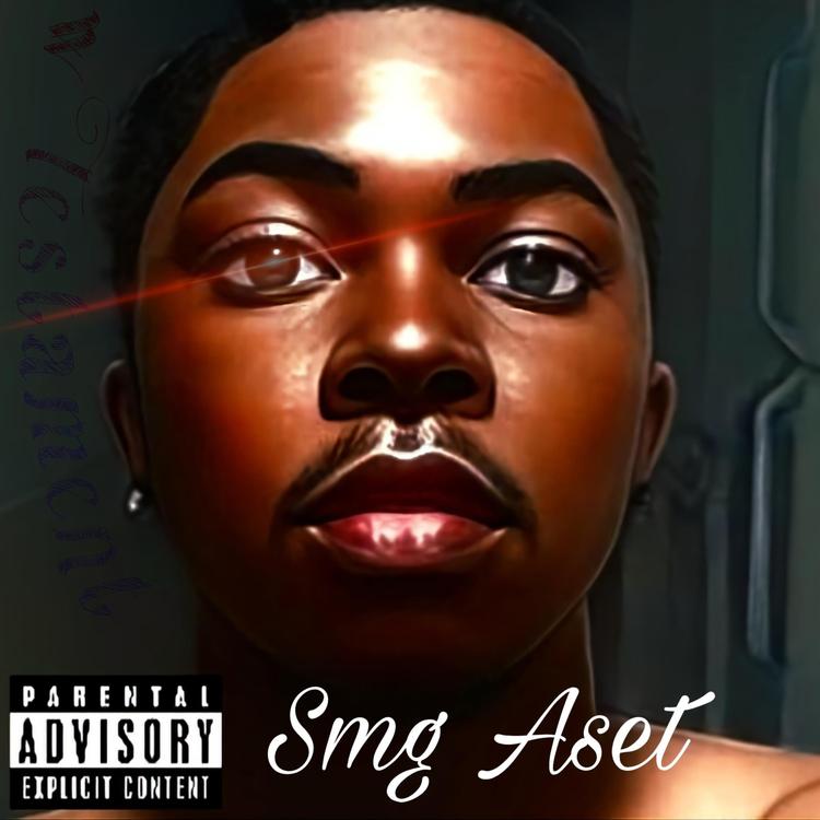 Smg Aset's avatar image