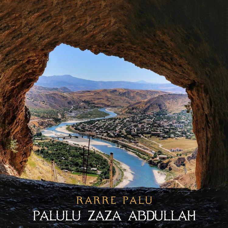 Palulu Zaza Abdullah's avatar image