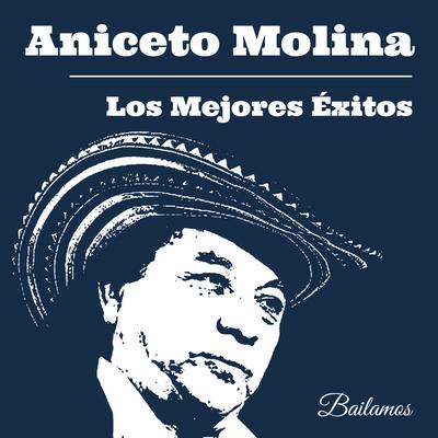 Los Mejores Éxitos de Aniceto Molina's cover