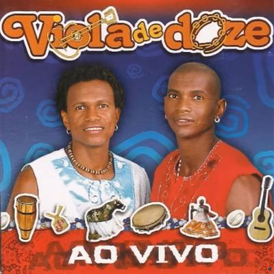 Viola de Doze é pra Sambar (Ao Vivo) By Viola de Doze's cover