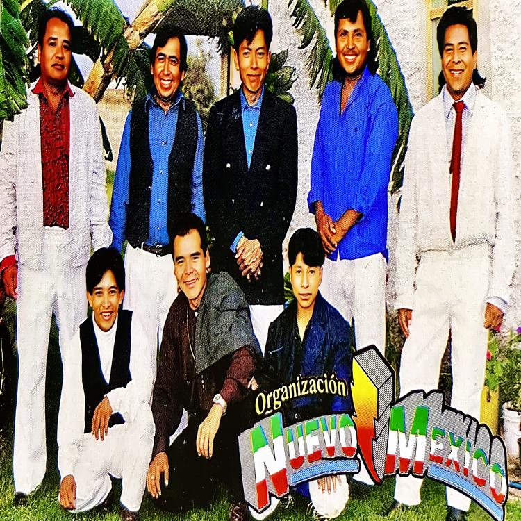 Organización Nuevo México's avatar image