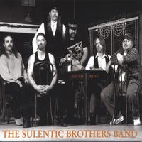 The Sulentic Brothers Band's avatar cover