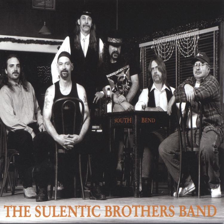 The Sulentic Brothers Band's avatar image