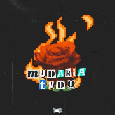 Mudaria Tudo (Remix)'s cover