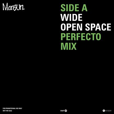 Wide Open Space (Perfecto Mix) By Paul Oakenfold, Perfecto, Mansun's cover