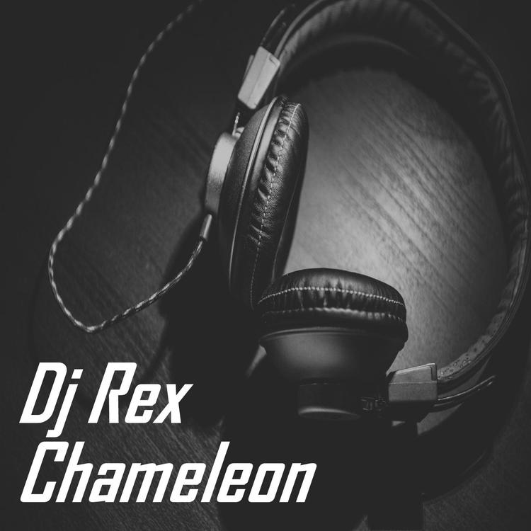 Dj Rex's avatar image