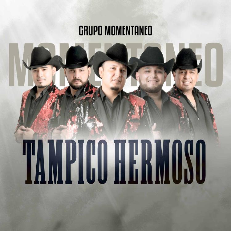 Grupo Momentaneo's avatar image