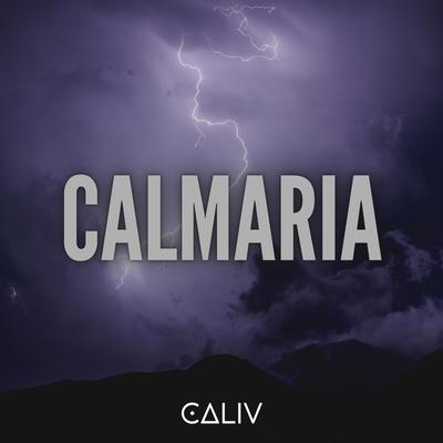 caliv's cover