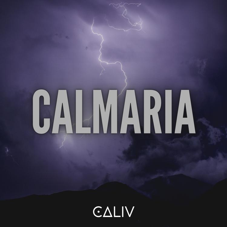 caliv's avatar image