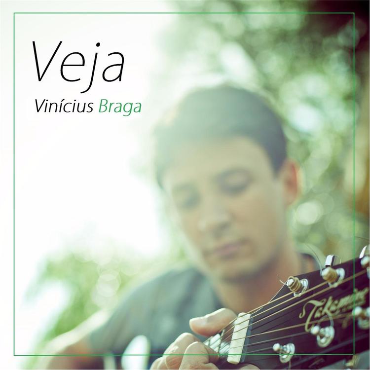 Vinicius Braga's avatar image