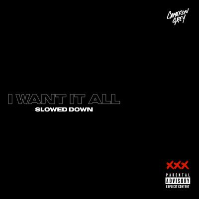 I Want It All (Slowed Down)'s cover