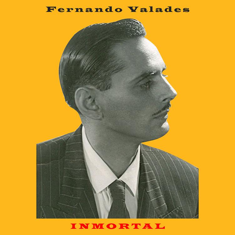 Fernando Valadés's avatar image