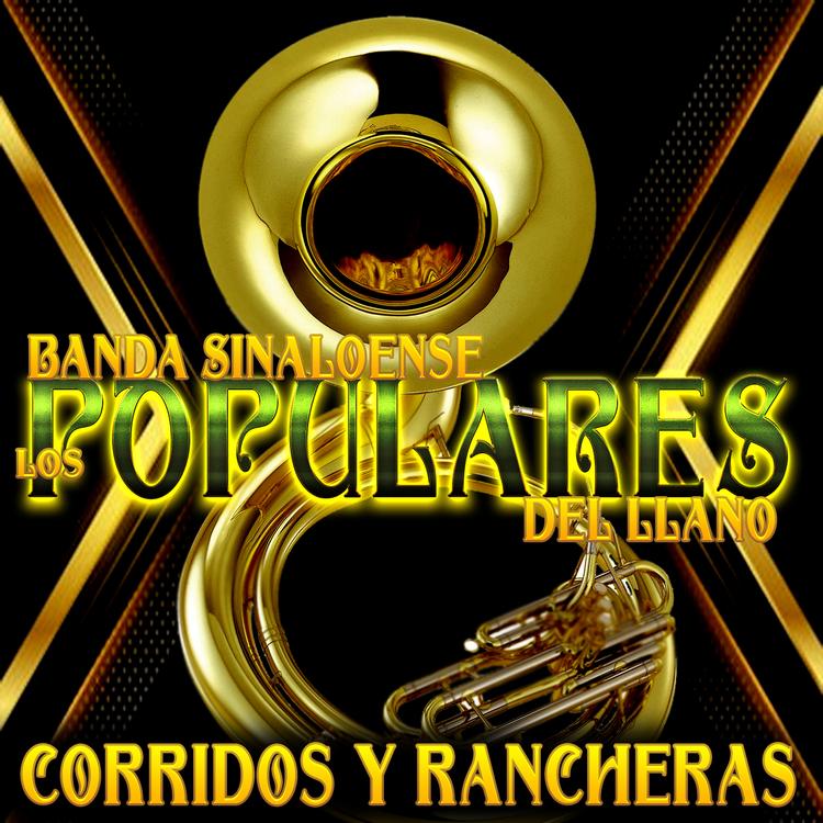 Banda Sinaloense Los Populares Del Llano's avatar image