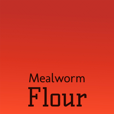 Mealworm Flour's cover