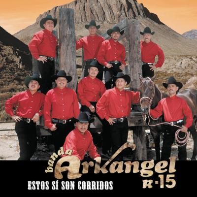 Estos Si Son Corridos's cover