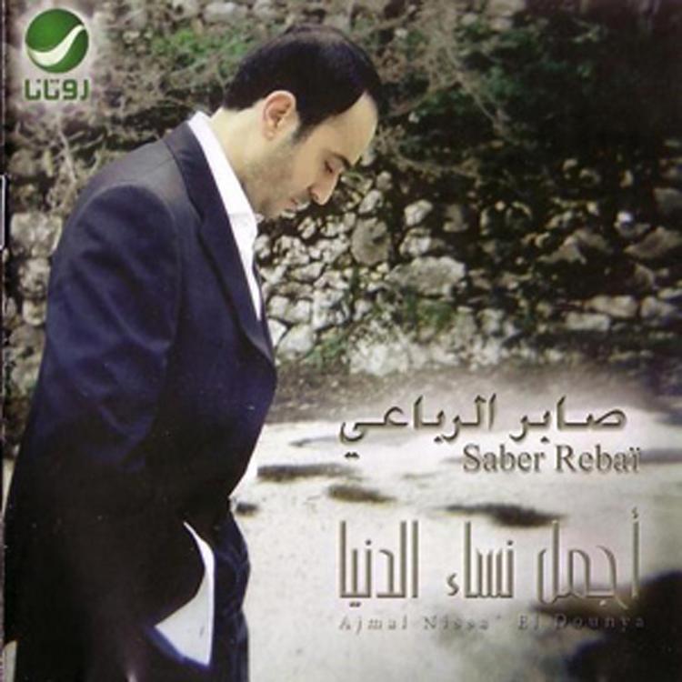 Saber Al Robaei's avatar image