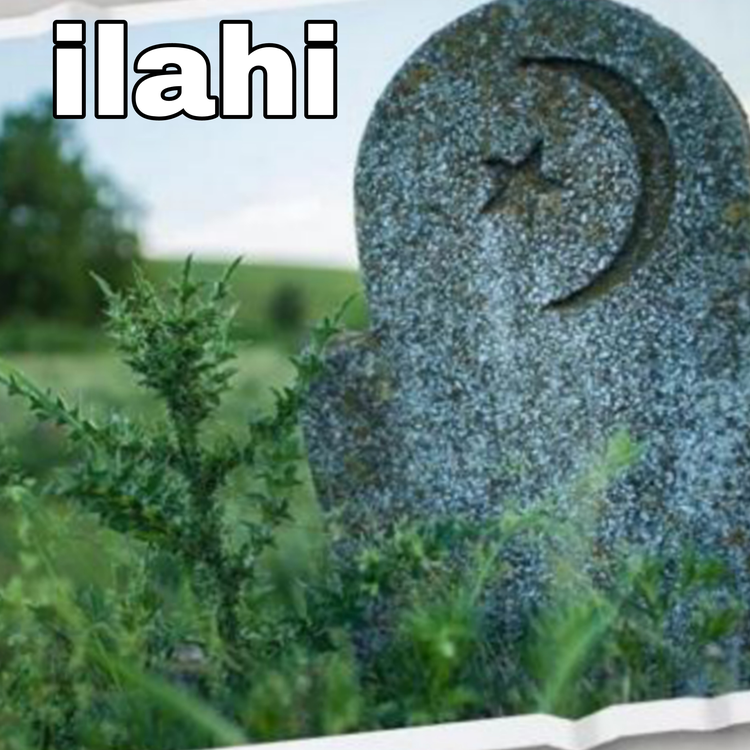 Ilahi's avatar image