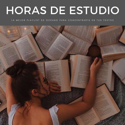 Horas De Estudio: La Mejor Playlist De Océano Para Concentrarte En Tus Textos's cover