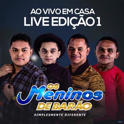 Preciso de um Tempo (Ao Vivo) By Os Meninos de Barão's cover