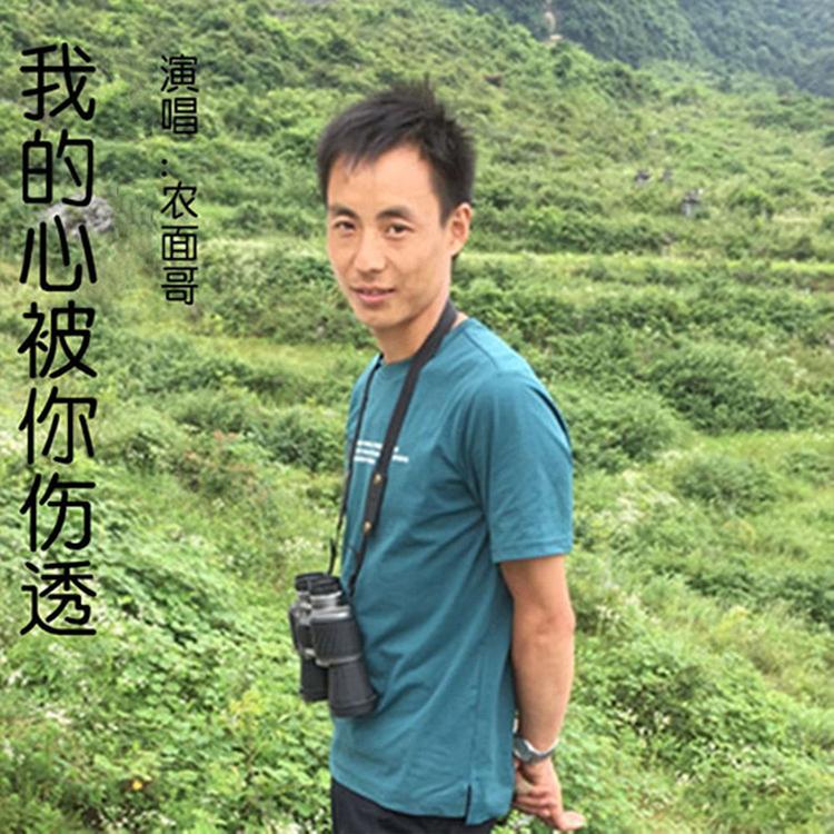 农面哥's avatar image