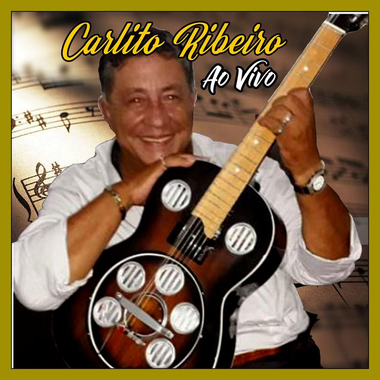 CARLITO RIBEIRO's avatar image