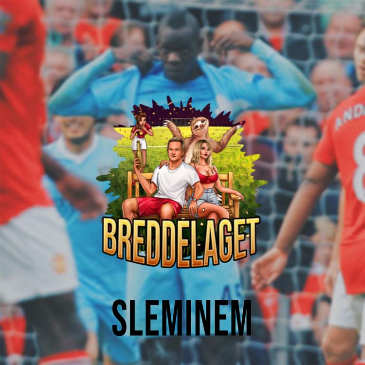 Sleminem's avatar image