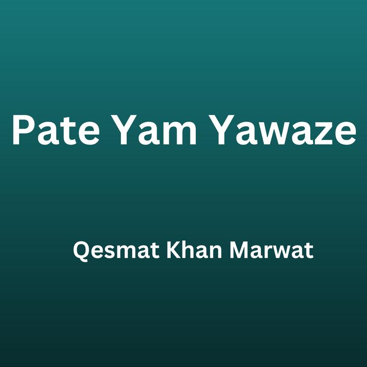 Qesmat Khan Marwat's avatar image