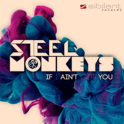 Steel Monkeys's cover