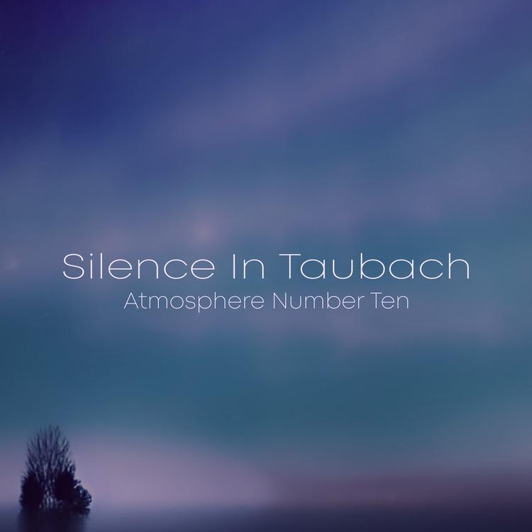 Silence In Taubach's avatar image