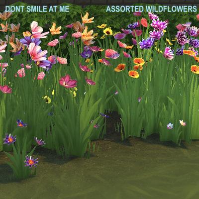 Assorted Wildflowers's cover