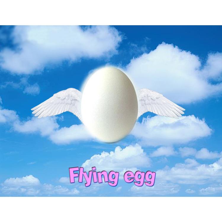 Flying egg's avatar image