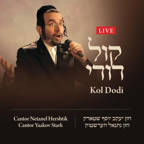 Kol Dodi (LIVE) Official Tiktok Music | album by Yaakov Stark