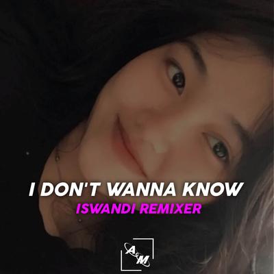 Iswandi Remixer's cover