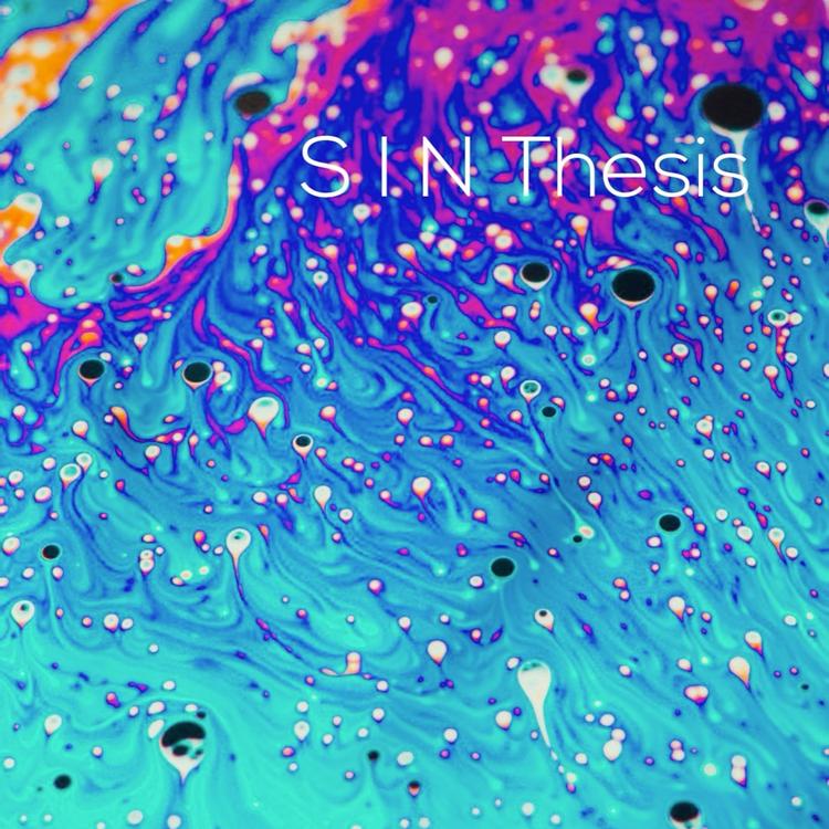 S I N Thesis's avatar image