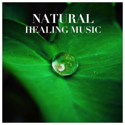 힐링음악(Natural Healing Music)'s cover