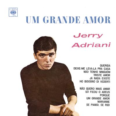 Nao quero mais amar (I've got sand in my shoes) By Jerry Adriani's cover