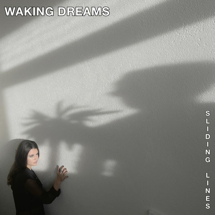 Waking Dreams's avatar image