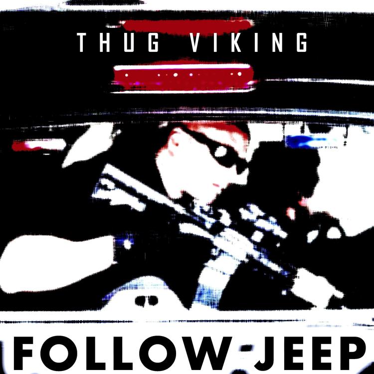 Thug Viking's avatar image