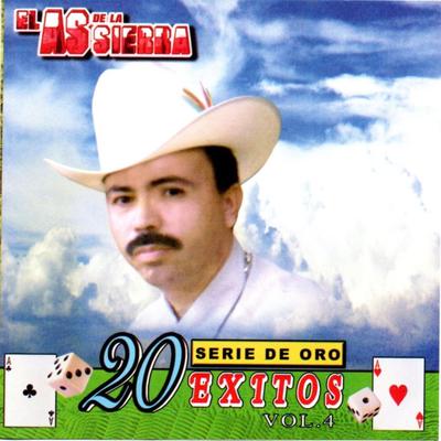 Serie de Oro 20 Exitos Vol. 4's cover