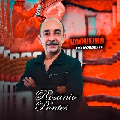 Rosanio Pontes's cover