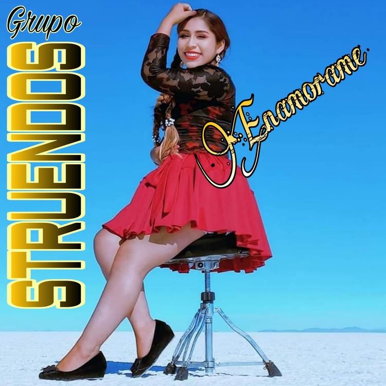 Grupo Struendos's avatar image