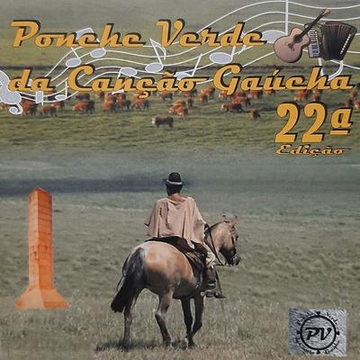 22º Ponche Verde da Canção Gaúcha's cover