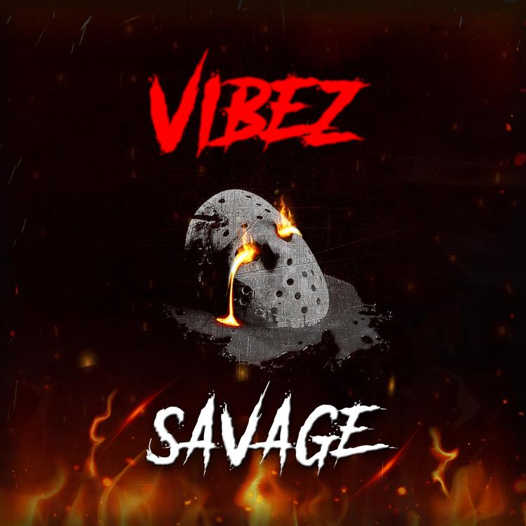 Vibez - -'s avatar image