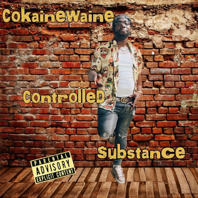 CokaineWaine's avatar image