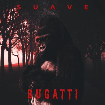 Suave Bugatti's cover